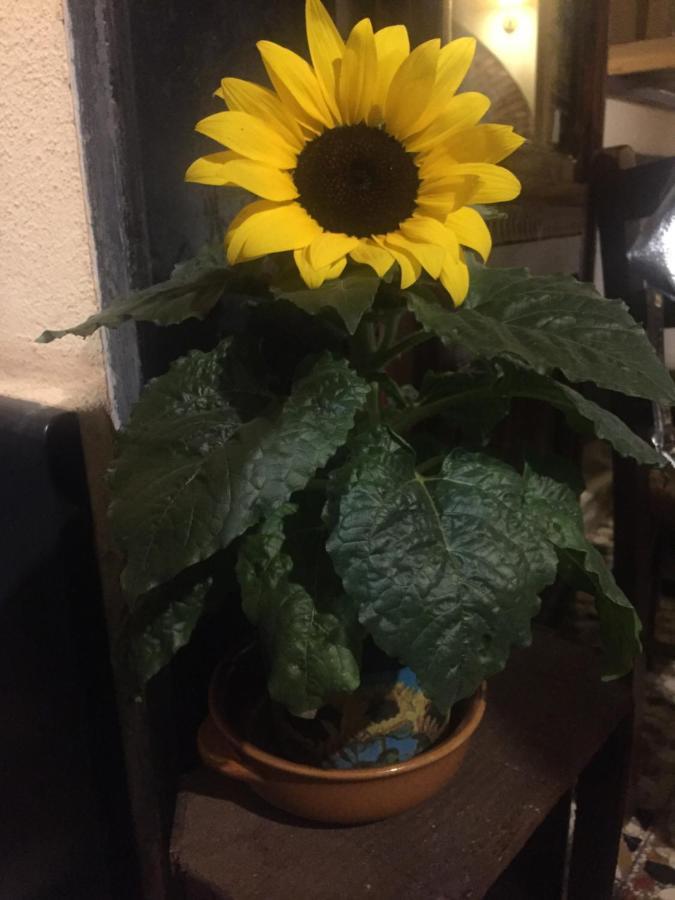 Il Girasole Bed and Breakfast Semorile Buitenkant foto